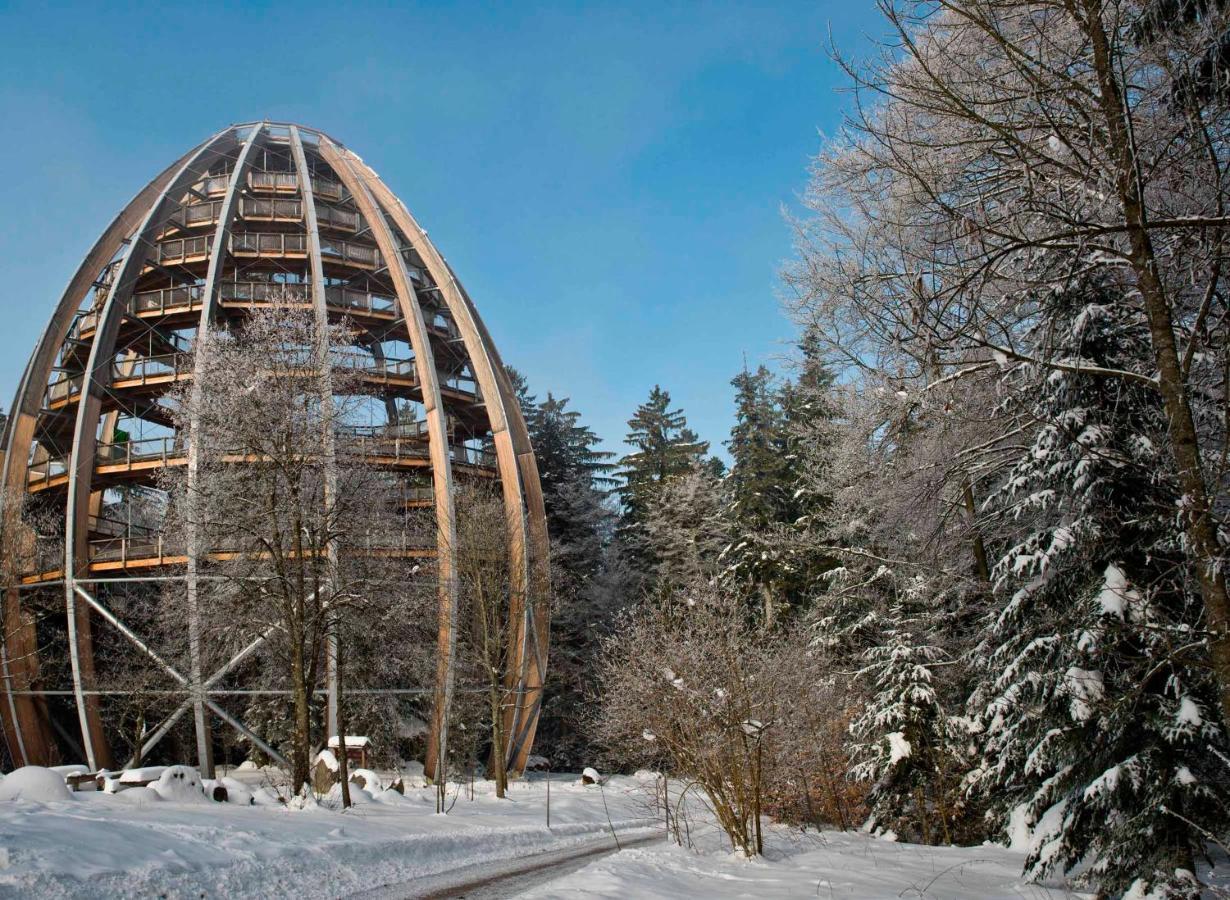 Ferienwohnung Im Landhaus Am Nationalpark Ludwigsthal Экстерьер фото